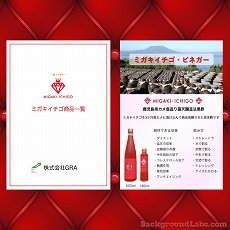 商品案内・チラシ
